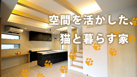 注文住宅「空間を最大限に活かした、猫と暮らすおしゃれな家」施工例動画