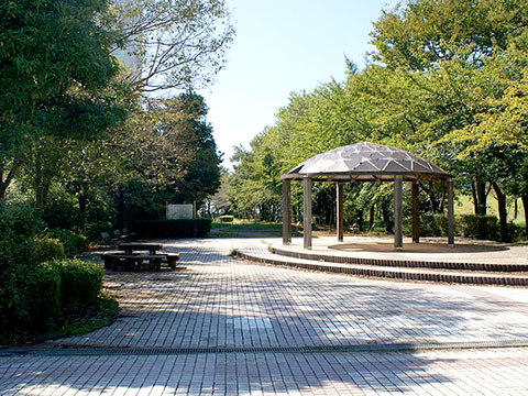におどり公園の写真