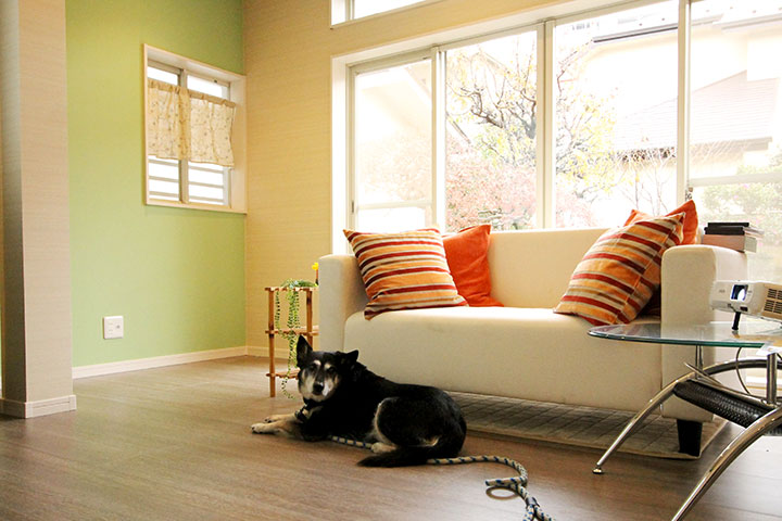 愛犬に快適な家づくりリフォーム