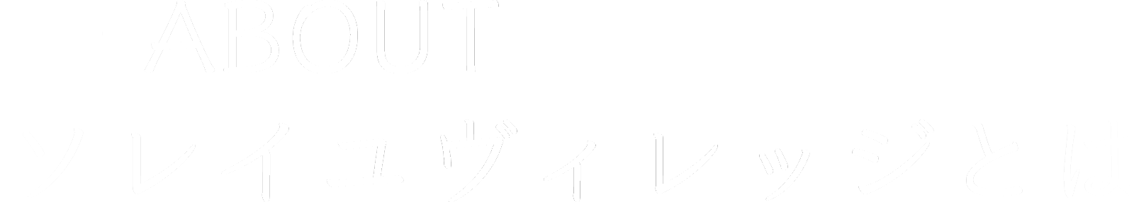 －ABOUT ソレイユヴィレッジとは