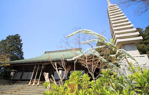 春の本土寺