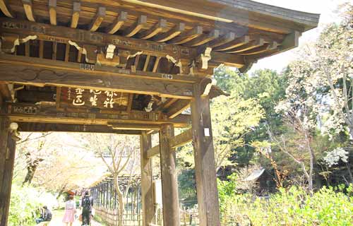 春の本土寺