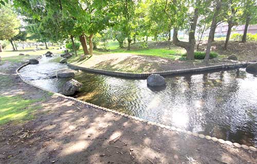 流山市 野々下水辺公園